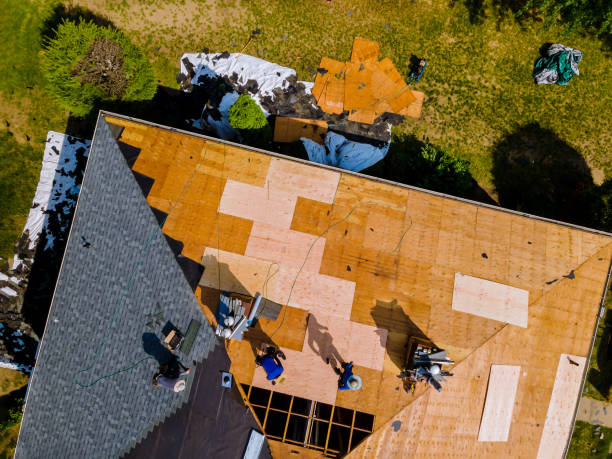 Best Storm Damage Roof Repair  in Clksville, AR